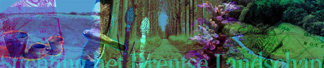 Drents Landschap print